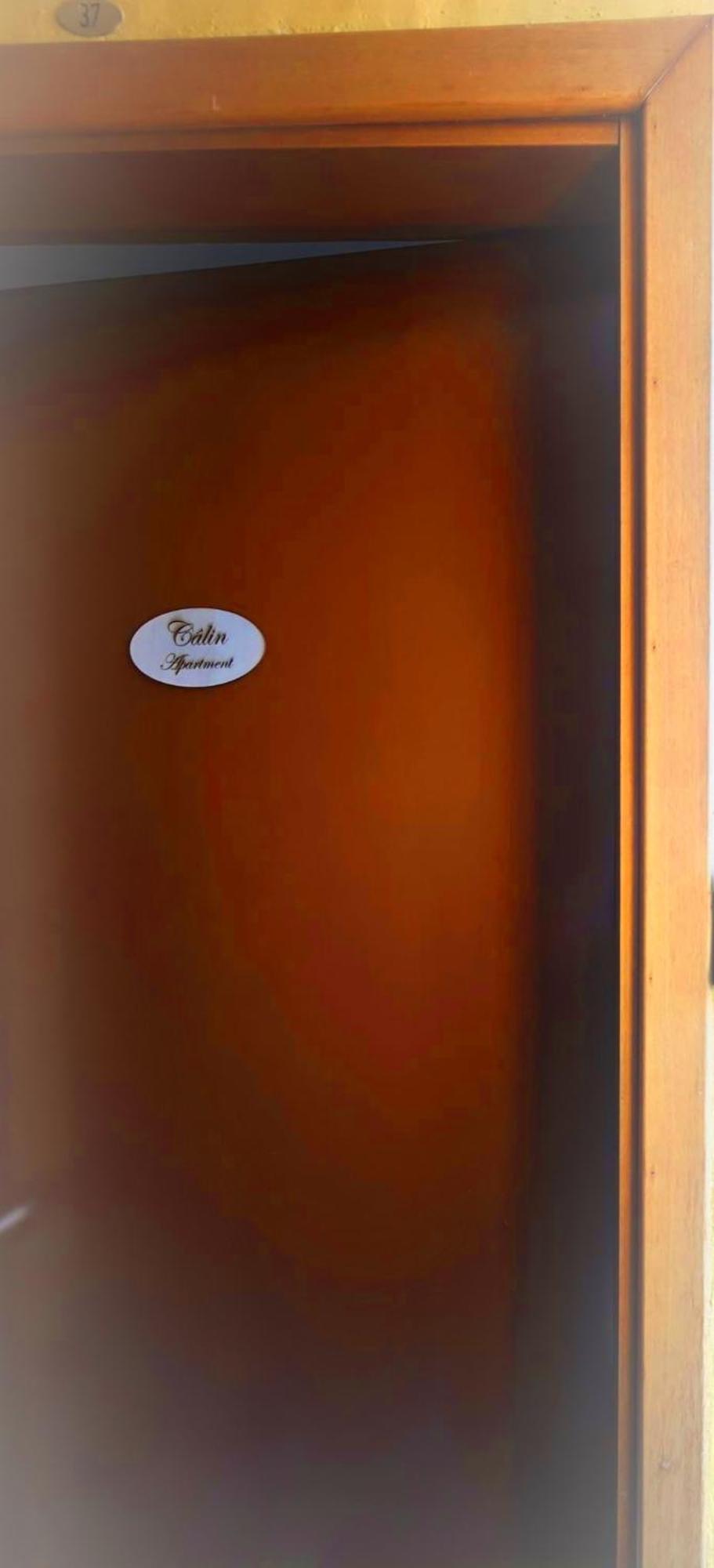 Calin Apartment Torino Esterno foto