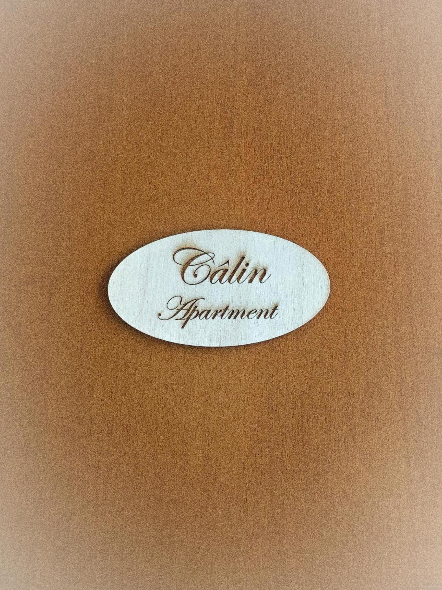 Calin Apartment Torino Esterno foto